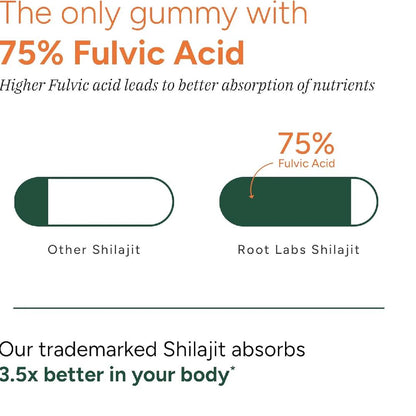 10:1 Alpha Gummies