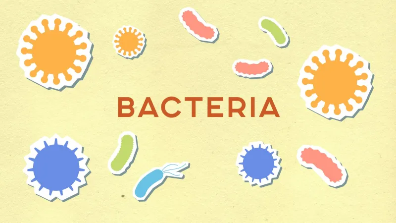 Forget Your Genes — Your Gut Decides How Much Nutrition You Actually Get